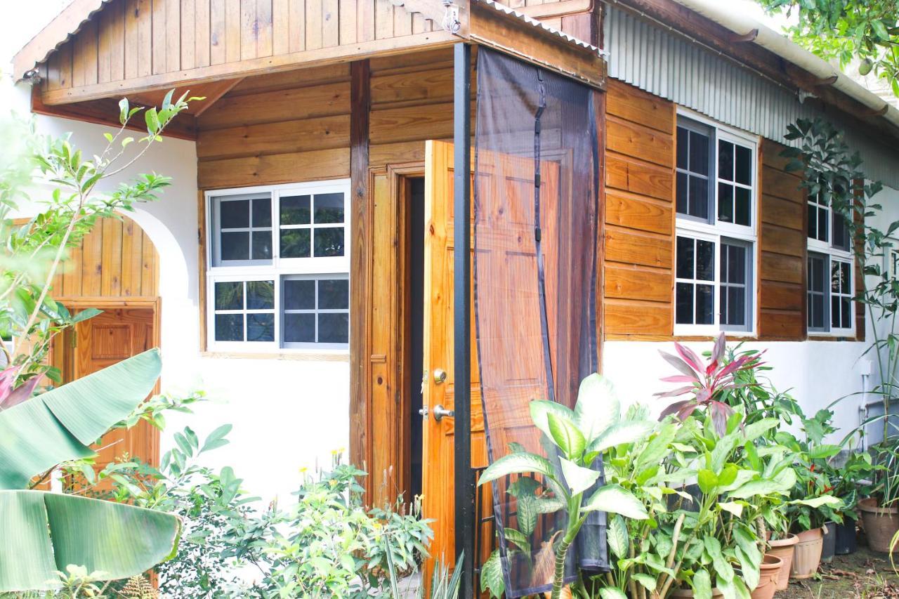 Van Villa Guesthouse Negril Eksteriør bilde