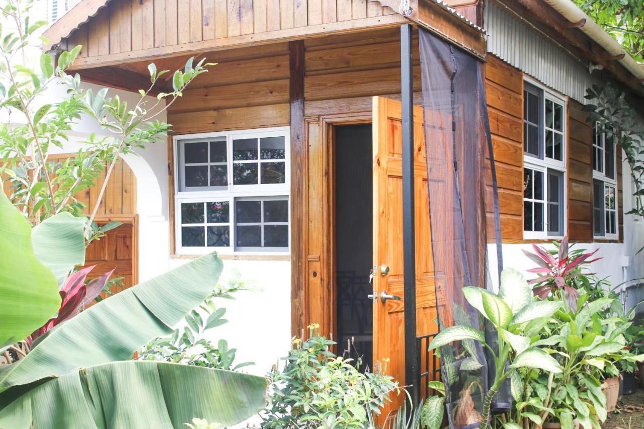 Van Villa Guesthouse Negril Eksteriør bilde